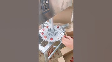 Semi automatic plum core removing machine