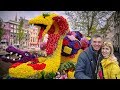 Парад цветов апрель 2019 Голландия Нидерланды - Blumenkorso 2019 Holland