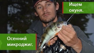 Ищем окуня в стае мелочи на пруду. Микроджиг и дропшот.