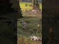 An unexpected brutal attack 🤯 | ARMA III #shorts #news #military