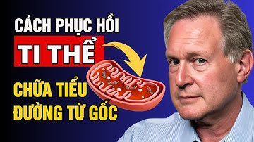Chiến lược phục hồi TI THỂ & chữa Tiểu đường từ gốc | TS. Robert Lustig