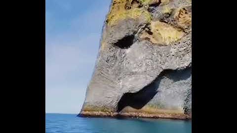 تلاوة خاشعه سورة الفيل