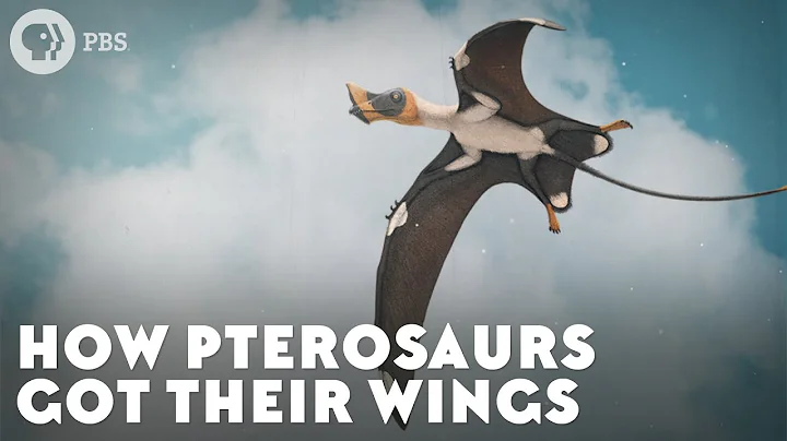 How Pterosaurs Got Their Wings - DayDayNews