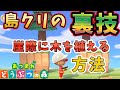 島クリで使える裏技！崖際や１マスの崖にも木を植える方法が見つかったから解説していくよ！【how to trees on cliff edges】【あつ森攻略】