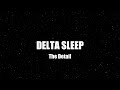 Delta Sleep | The Detail [Subtitulada al Español] (Lyrics in Description)