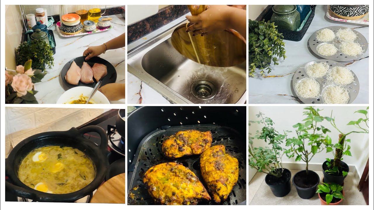 Busy weekdays |Breakfast✨|Lunch preparations|plant🪴 care❤️cooking#cleaningmotivation