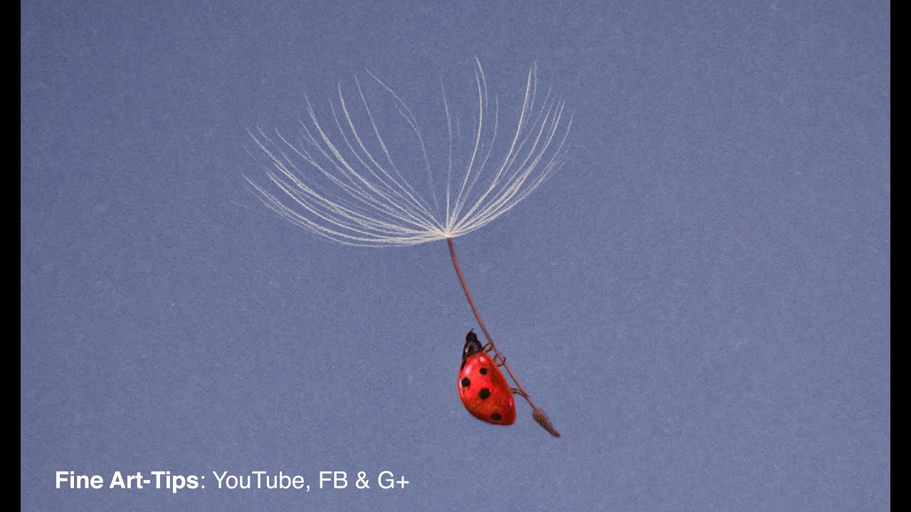 Drawing a Ladybug Blown by the Wind - Time Lapse