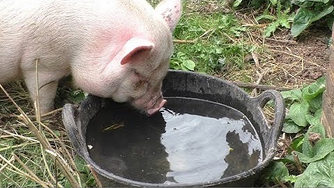 Morning Prayer –Saturday, 28th August 2021