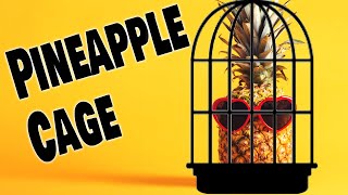 Pineapple Cage - DIY