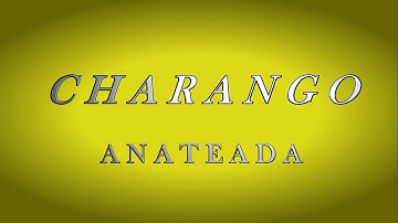 19   CHARANGO   ANATEADA   FOLKLORE   NIVEL INICIAL