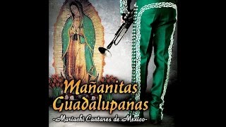 Mariachi Cantares De Mexico - Ante Tu Altar chords