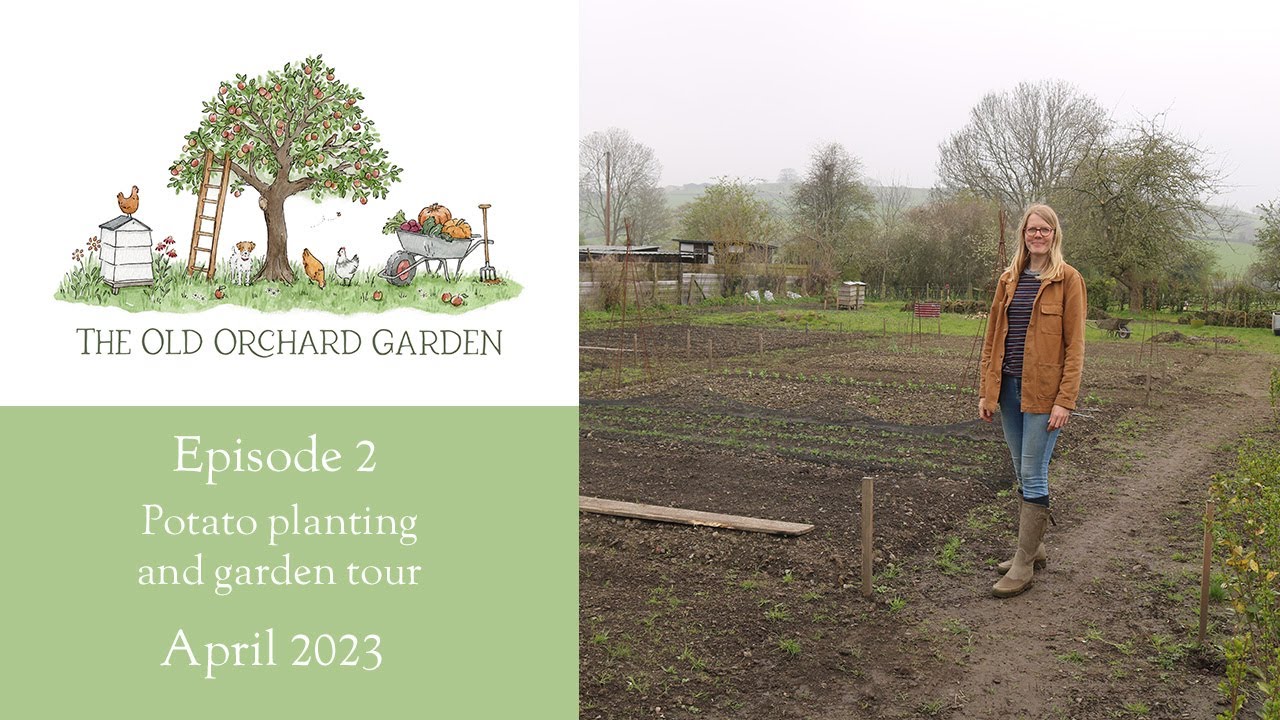 The Old Orchard Garden Episode Two Potato Planting and Tour April