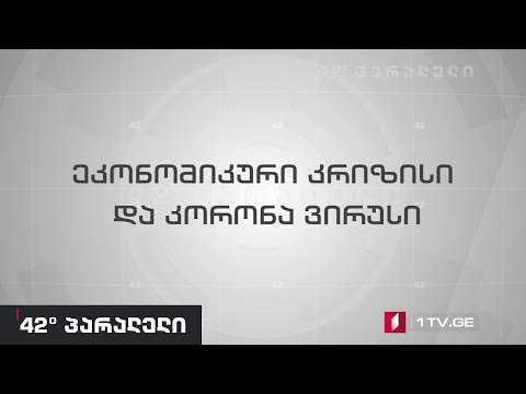 42° პარალელი - კორონავირუსი და ეკონომიკური კრიზისი, ინტერვიუ ტატო ხუნდაძესთან