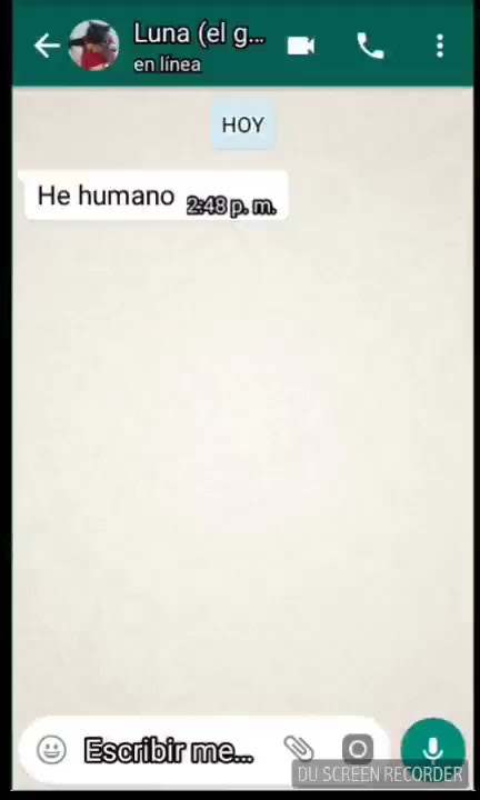 Si mi gato tuviera whatsapp