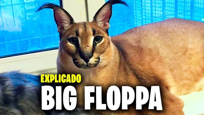 Who (or What) Is Big Floppa? The Largest of the Internet Cats, Explained