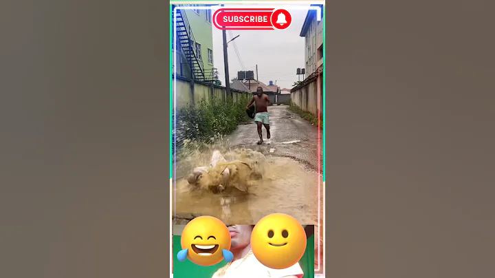 Brain Jotter's TikTok Dance Challenge! 🕺🔥 #Trending #TikTokDance