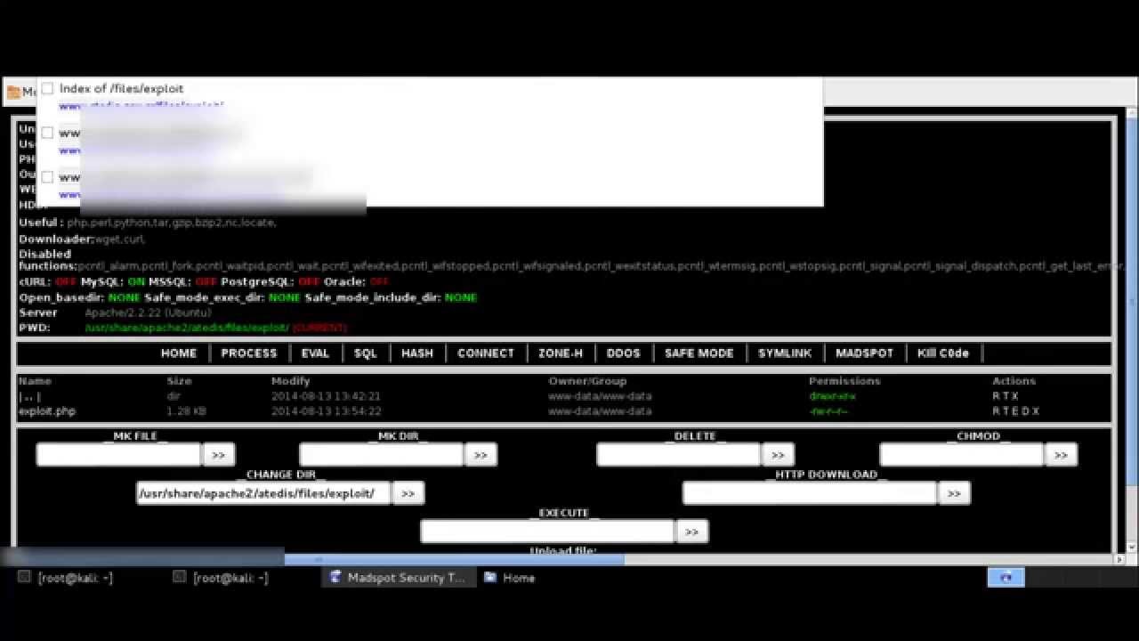 Kali Linux - Exploiting WebServer
