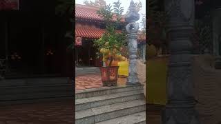 đi chùa đầu năm