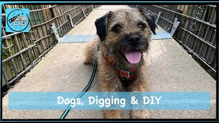 Dogs, Digging & DIY!!