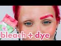 Bleaching and Dyeing my Eyebrows HOT PINK