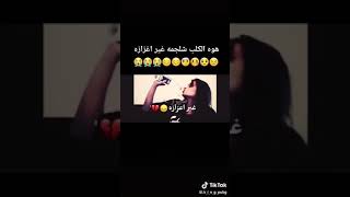 حبهوم شويه شويه لا تتوازه هوه القلب شلج مغير عزازه