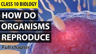 How Do Organisms Reproduce?  Class 10 Full Chapter (Animation) | Class 10 Science Chapter 8 | NCERT