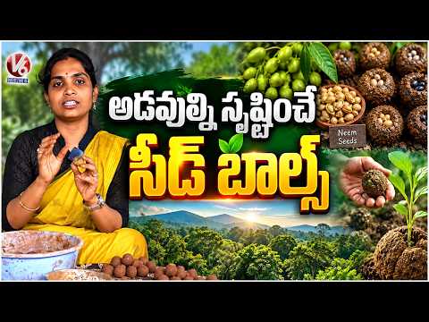 Creating A Forest With Seed Balls: Made By Mixing Red Soil and Cow Dung Powder | V6 News
