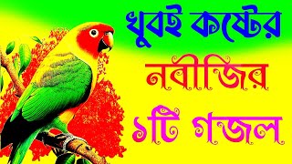 মন প্রাণ উজাড় করা নবীজির সেরা কষ্টের গজল । Bangla Gojol new gojol 2024 | Nobijir Gojol dukker gazal
