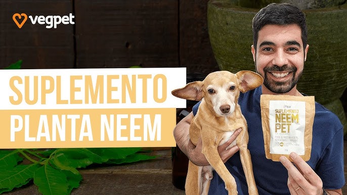 Gatos famosos dos desenhos animados - Pet Total Neem