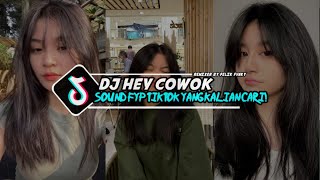 DJ HEY COWOK VIRAL TIK TOK