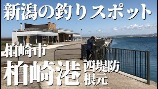 新潟柏崎 釣りスポット 柏崎港 西堤防根元 Youtube