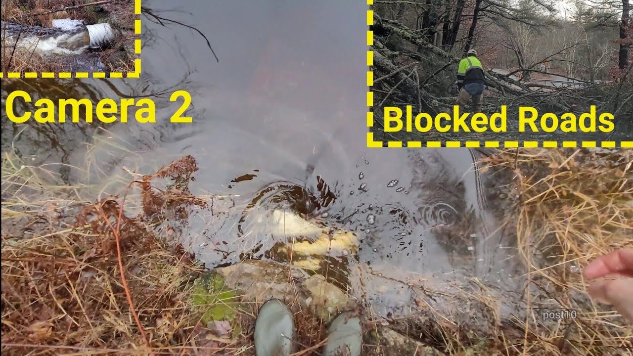 Flooding, Unclogging And Tree Clearing After Wind Storm - YouTube