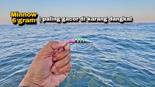 Umpan Minnow Gacor !! Untuk mancing casting ngoyor di Karang Dangkal