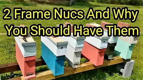 2 Frame Nucs And Why You Should Have Them