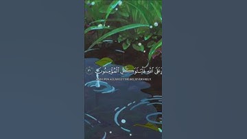 قُل لَّن يُصِيبَنَا إِلَّا مَا كَتَبَ اللَّهُ لَنَا ⚬ ( سورة التوبة الآية 51 ).