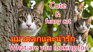 funny and cat videos compilation cute moments #cat #แมว #ตลก #viralvideo #viral #funny #shorts