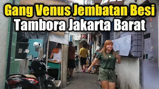 Melintas Jalan / Gang 5 / Gang Venus Jembatan Besi & Stasiun Duri Jakarta Barat