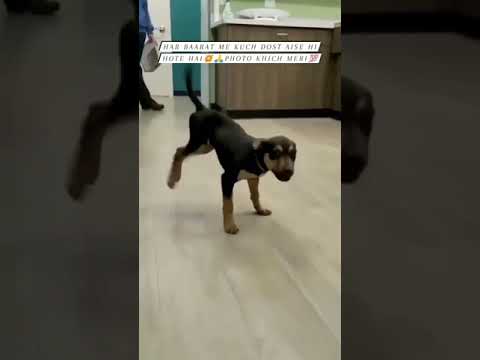 Very funny  video