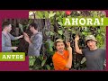 🌿 TOUR MURO VERDE NATURAL Así esta 2 Años Después, Mas de 90 PLANTAS de INTERIOR