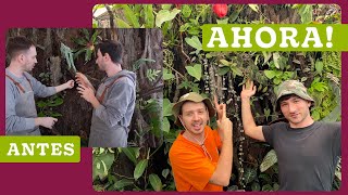 🌿 TOUR MURO VERDE NATURAL Así esta 2 Años Después, Mas de 90 PLANTAS de INTERIOR