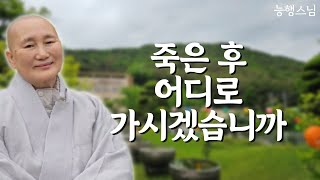 임종 마지막 순간의 상태가, 다음 생의 처음이 됩니다 | 책 '우리 봄날에 다시 만나면' 죽음을 돌보는 수행자 호스피스 능행스님 인터뷰 7