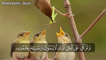القارئ خالد الجليل - من سورة الفرقان - وتوكل على الحي الذي لا يموت وسبح بحمده وكفى به