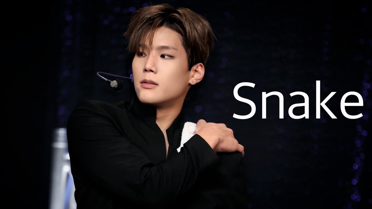 𝟐𝟔𝟎𝟏𝟏𝟎 다크비 일본콘서트 𝐕𝐚𝐧𝐠𝐮𝐚𝐫𝐝 준서 직캠 스네이크 (𝐒𝐧𝐚𝐤𝐞)
