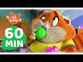 44 Gatos | 44 Gatos | 60 MINUTOS de compilation gatásticos