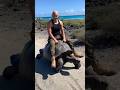 You Won’t Believe This Giant Tortoise Ride  #GiantTortoise #POV #CinematicVideo