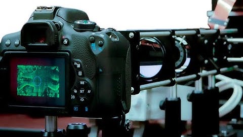 Learned Hardware-in-the-loop Phase Retrieval for Holographic Near-Eye Displays