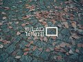                                            مروان موسي  تيسلا حالتي