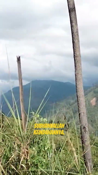 subhannallah walhamdulillah,#gunung #kopi gayo#video #pejuangrupiah