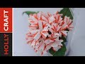 Paper flowers tutorial: Candy Cane Verbena