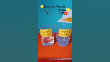 Acid Base Turmeric Powder Test (Vinegar and Soap Water) | Class 7 Science Experiment
